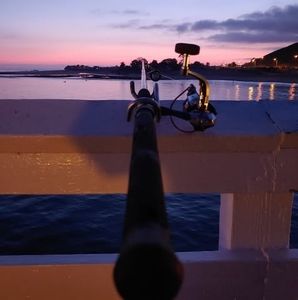 Meet your Posher, Billy